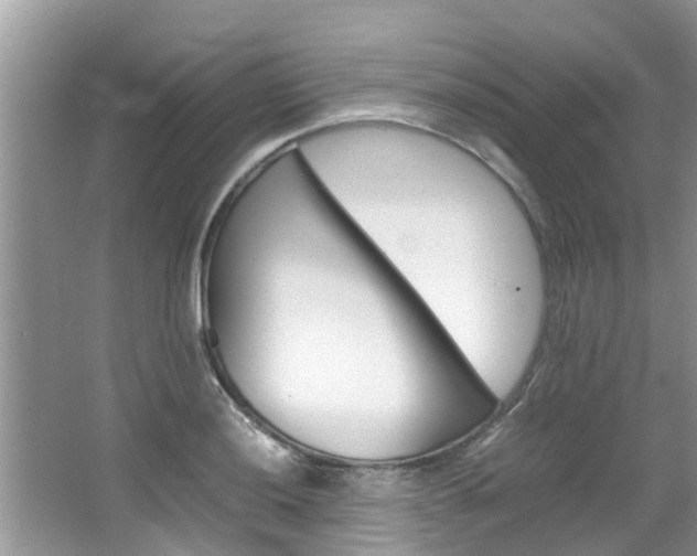 X0000064731036200602100952
