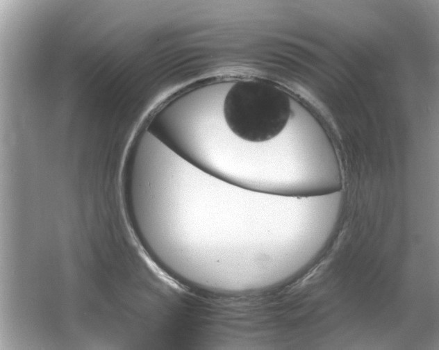 X0000064731037200602100952