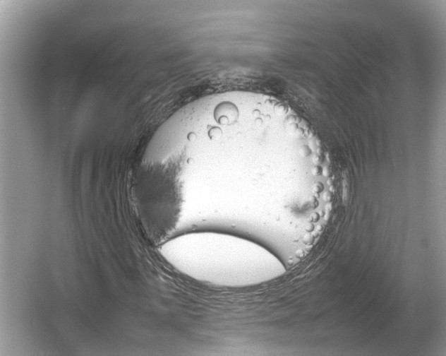 X0000064731059200602100952
