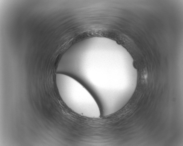 X0000064731060200602100952