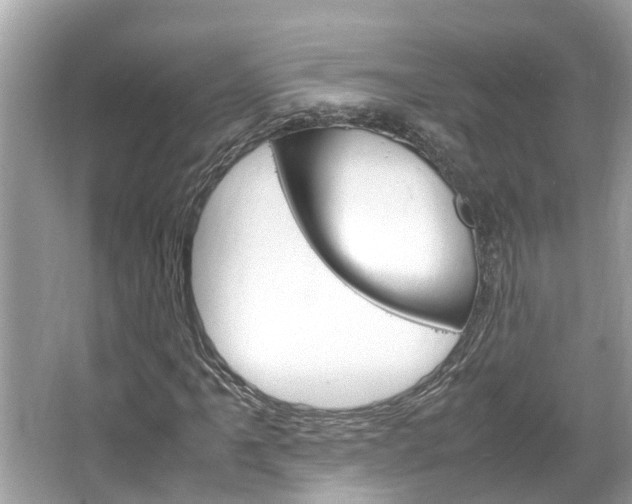 X0000064731061200602100952