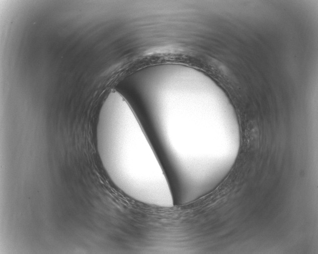 X0000064731062200602100952