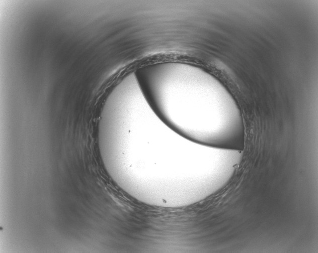 X0000064731064200602100952