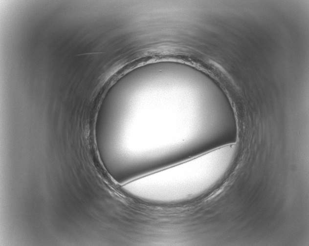 X0000064731065200602100952