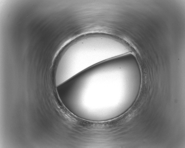 X0000064731069200602100952