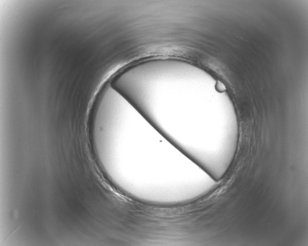 X0000064731071200602100952