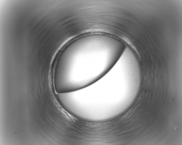 X0000064731076200602100951