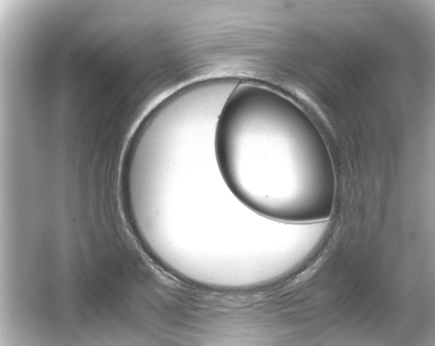 X0000064731077200602100951