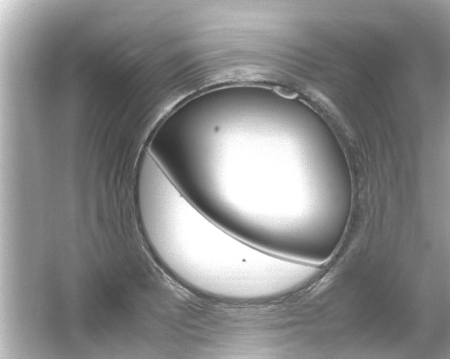 X0000064731081200602100951