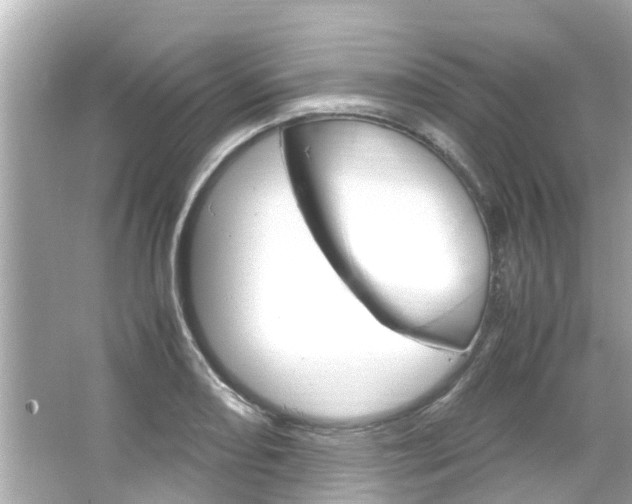 X0000064731082200602100951