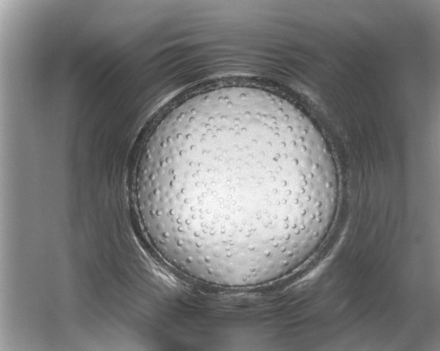 X0000064731113200602100950