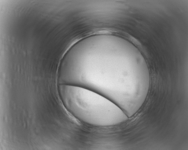 X0000064731194200602100949