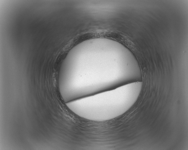 X0000064731204200602100949
