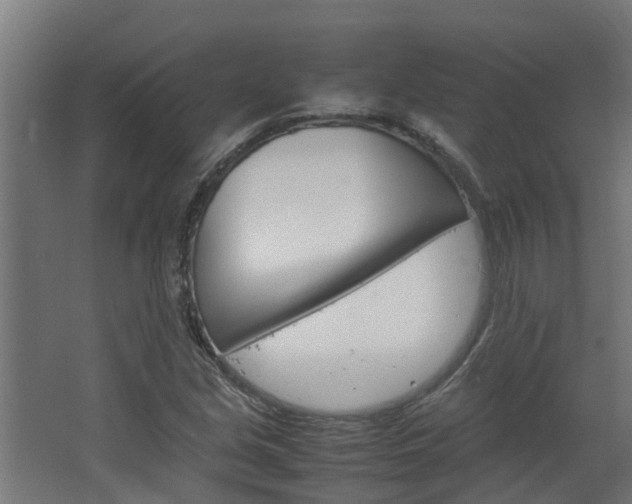 X0000064731213200602100949