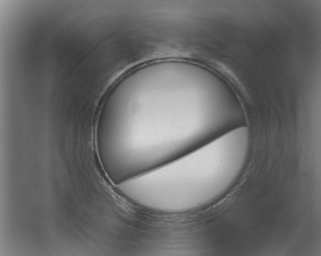 X0000064731220200602100949