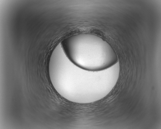X0000064731249200602100949