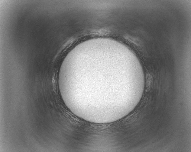 X0000064731254200602100948