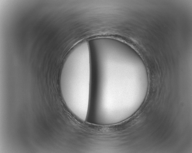 X0000064731265200602100948