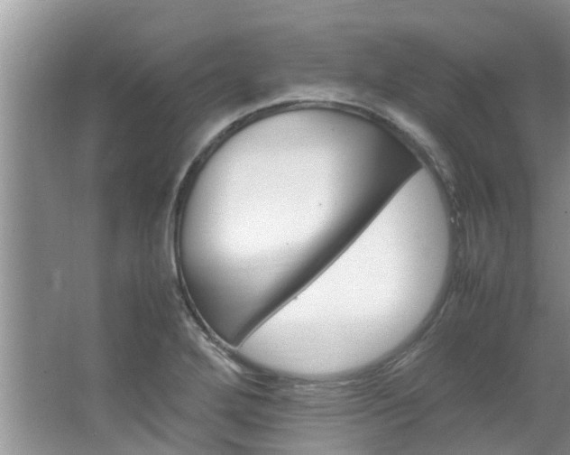 X0000064731272200602100948