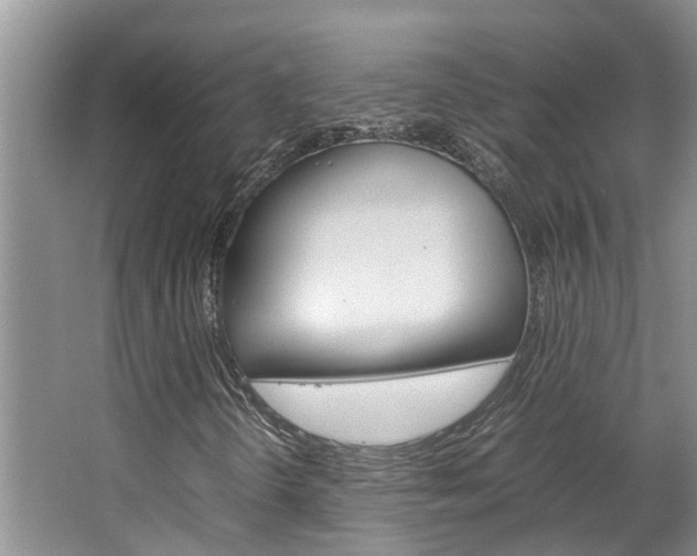 X0000064731298200602100947