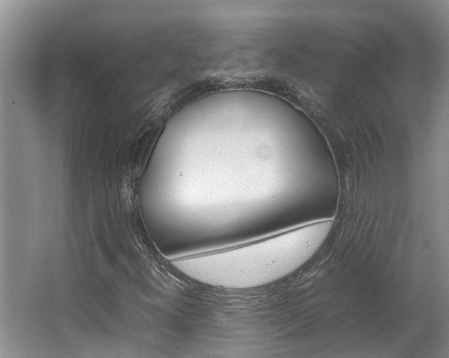 X0000064731300200602100947