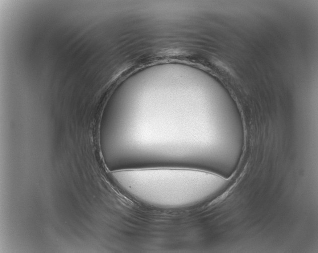 X0000064731305200602100947