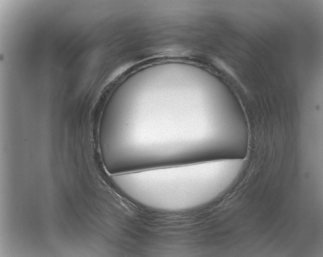 X0000064731315200602100947