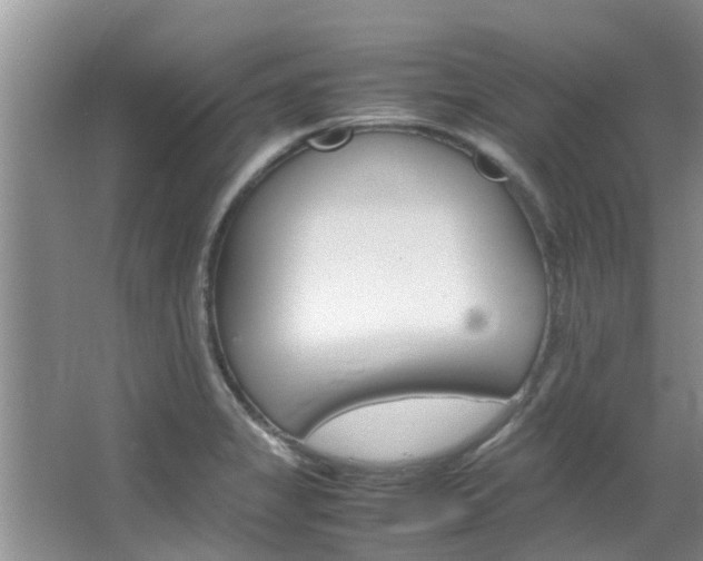 X0000064731325200602100947