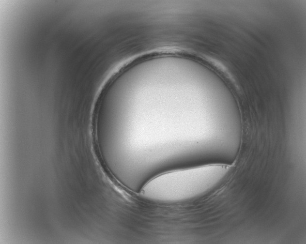 X0000064731327200602100947