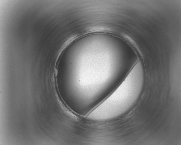 X0000064731330200602100947