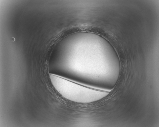 X0000064731349200602100947