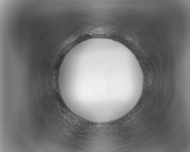 X0000064731350200602100947