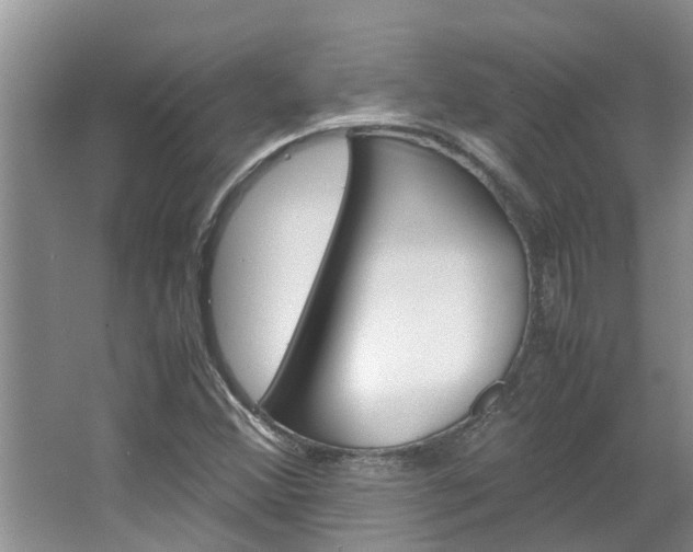X0000064731356200602100947