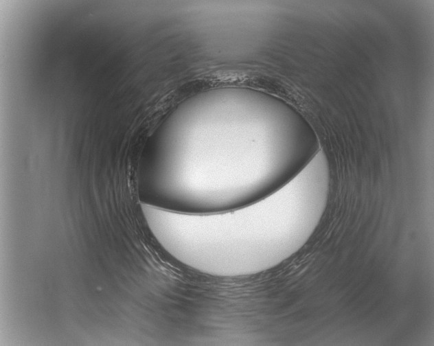 X0000064731394200602100945