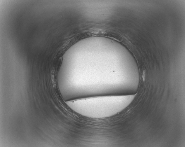 X0000064731396200602100945