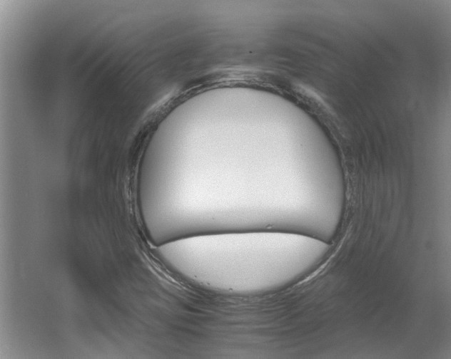X0000064731403200602100945