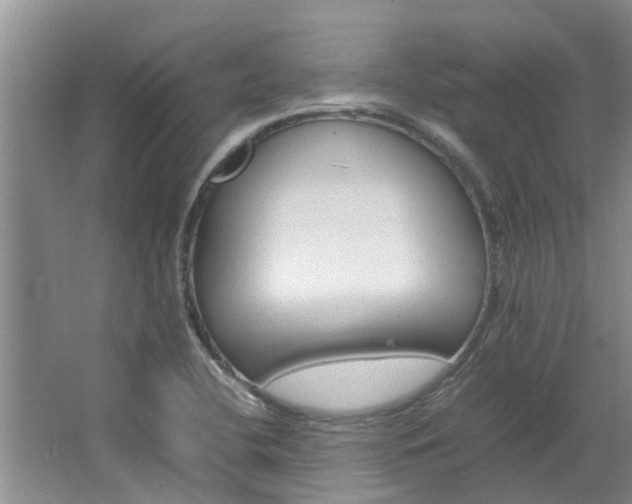 X0000064731412200602100946