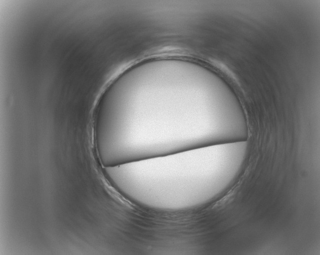 X0000064731413200602100946