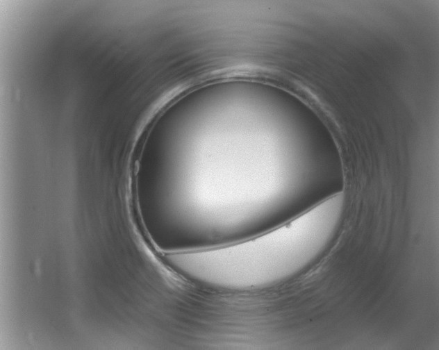 X0000064731418200602100946