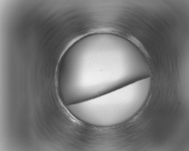 X0000064731436200602100946