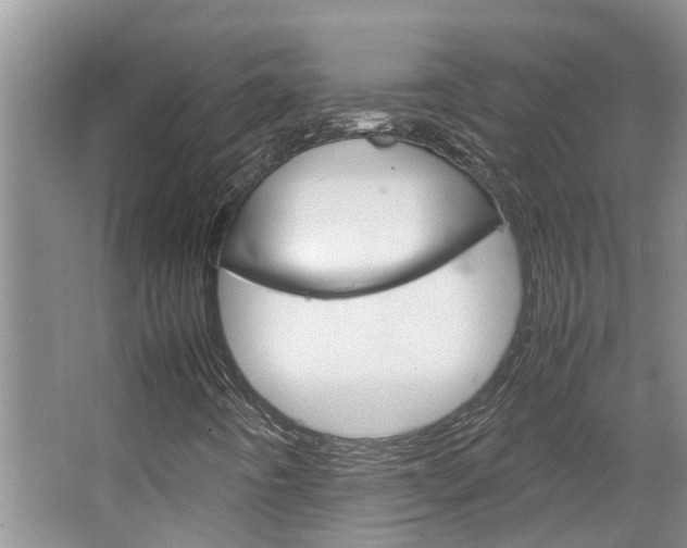 X0000064731442200602100945