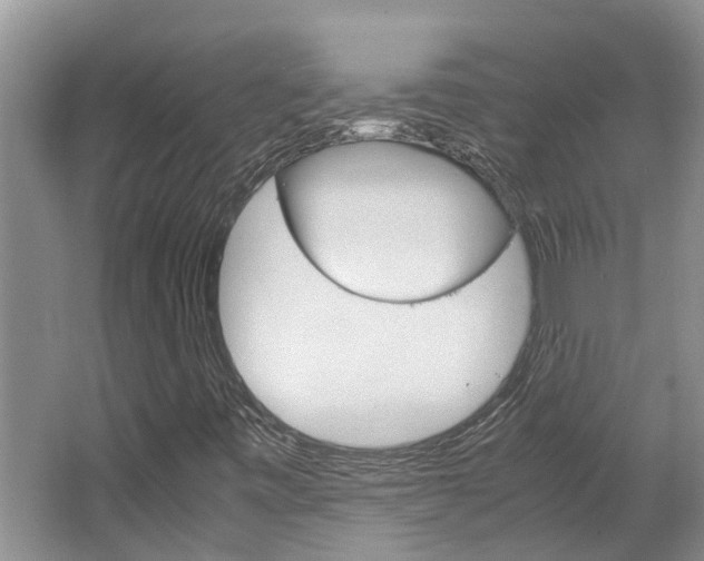 X0000064731443200602100945