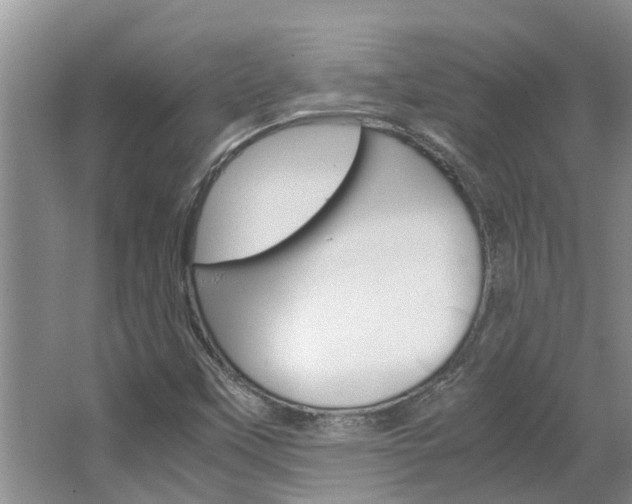 X0000064731451200602100945