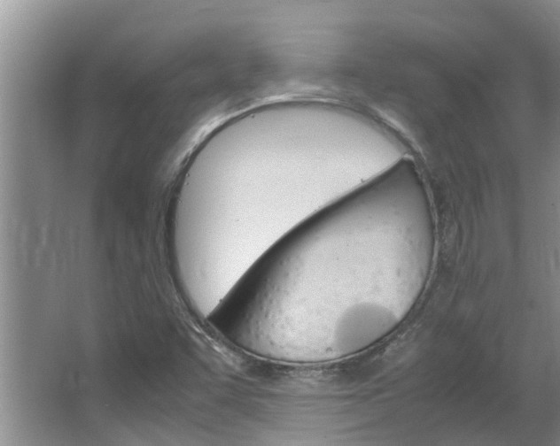 X0000064731455200602100945
