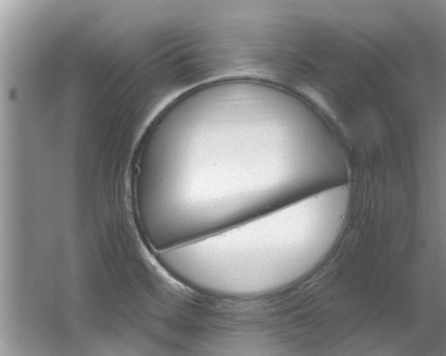 X0000064731468200602100945