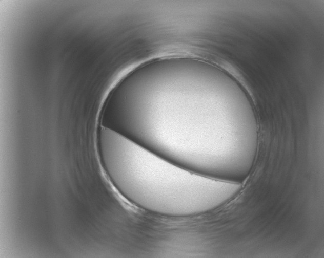 X0000064731485200602100945