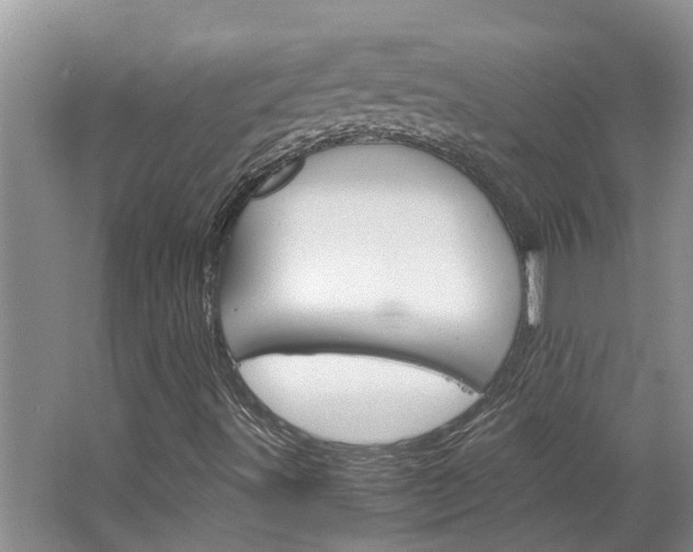 X0000064731491200602100944