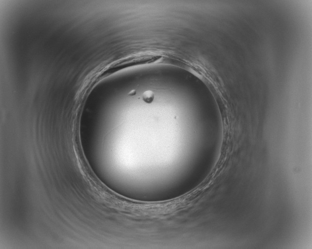 X0000064730001200602101202