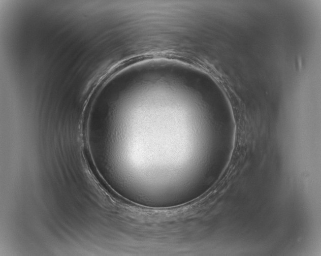 X0000064730002200602101202