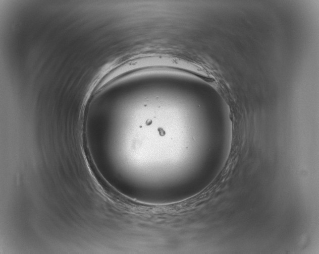 X0000064730003200602101202